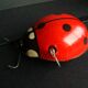Mechanical ladybird toy