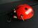 Jouet coccinelle mécanique