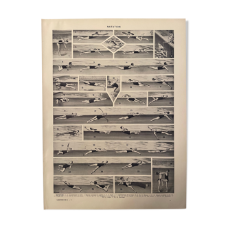 Planche photographique sur la natation et le plongeon de 1928