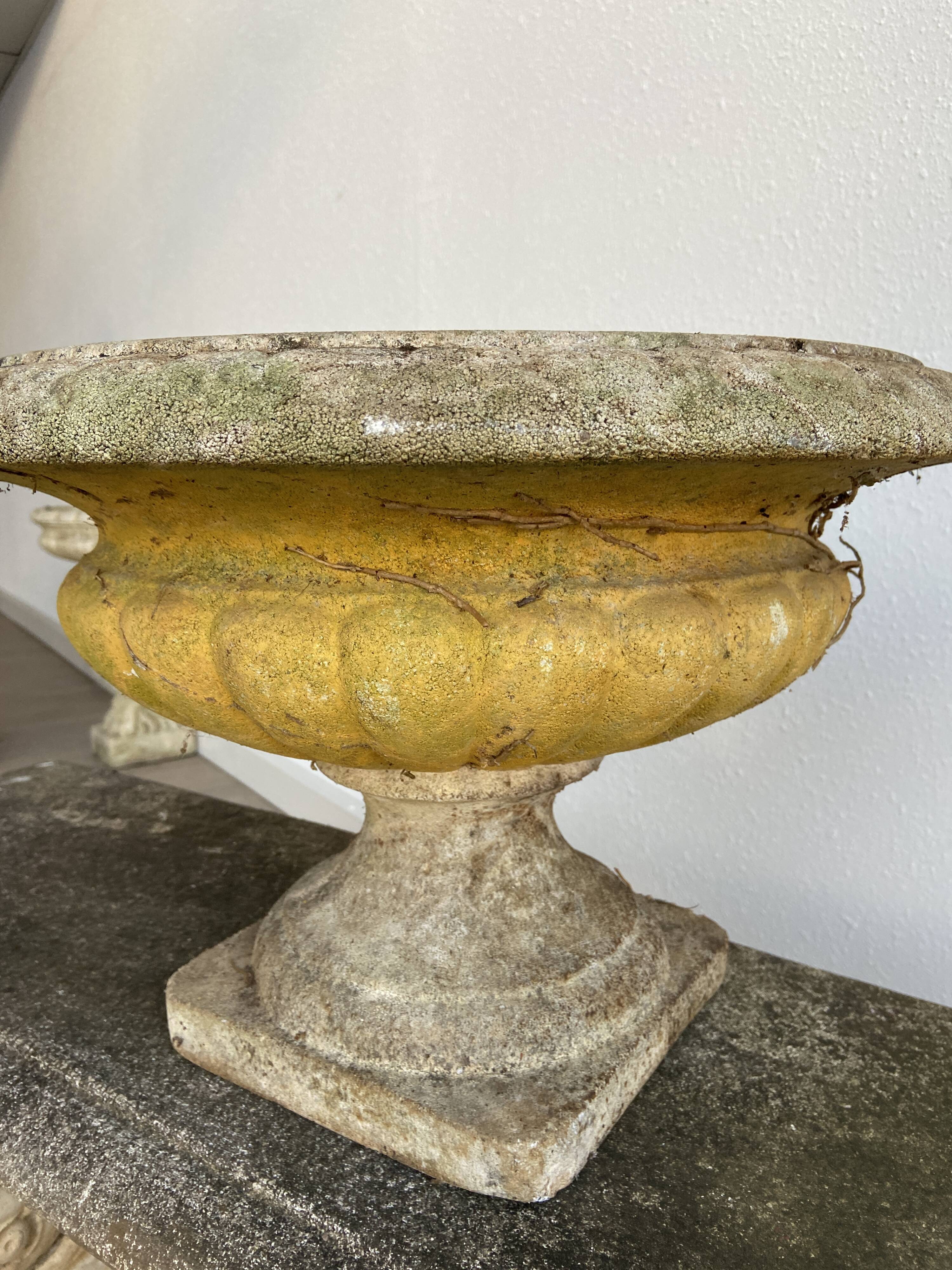 Vintage Medici vase cutter