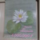 Original National Lottery Lottery Slice of nenuphars 1985