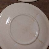 Oyster plates