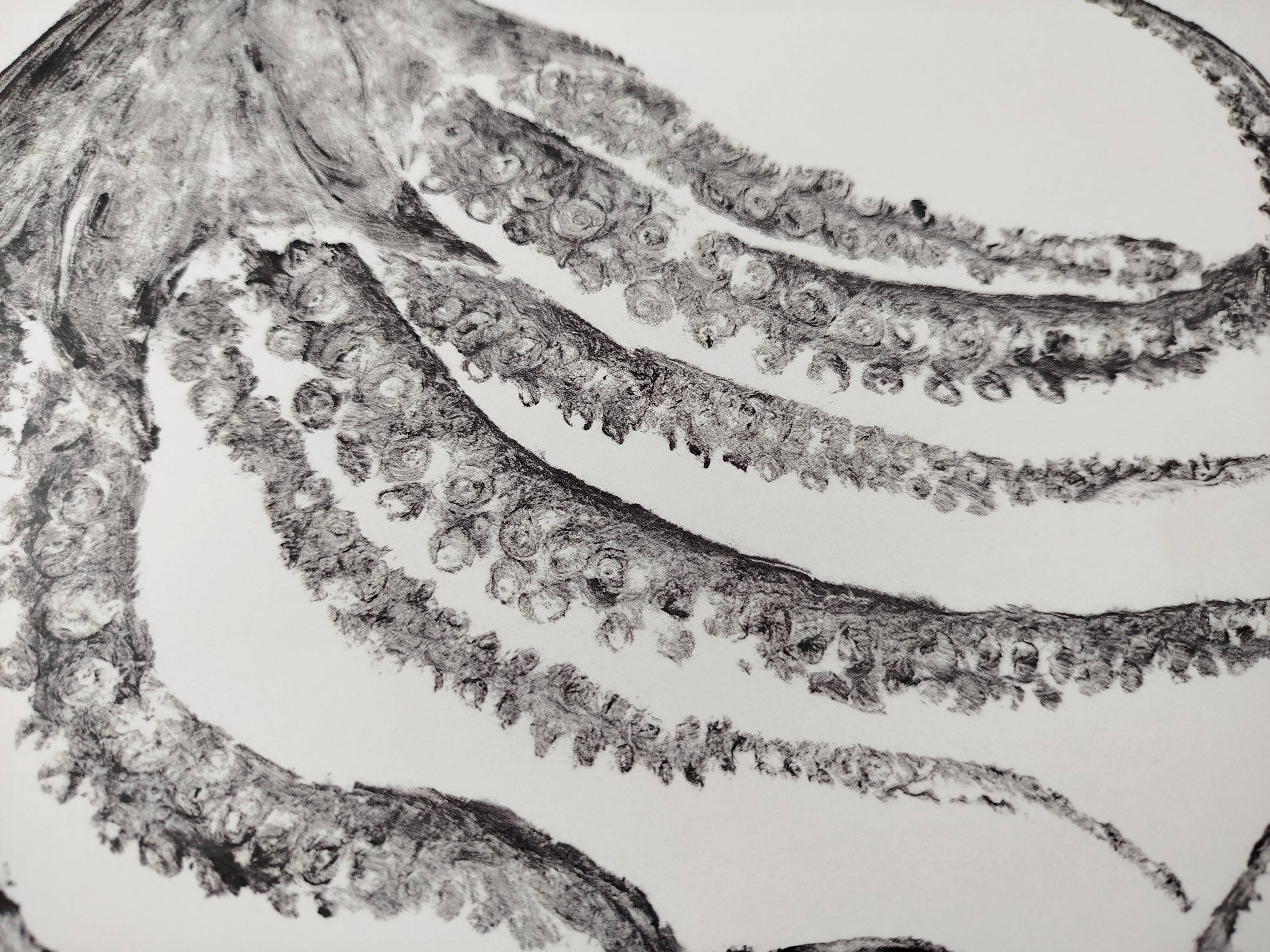 Framed art print, "Octopus Print" (gyotaku)