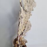 Large natural fan coral on wooden base, Height 47 cm