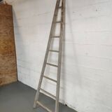 Échelle de fruitier ancienne Etablissements Masson Chateaubriand 2.40m