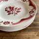 Pink plates iron earth amandinoise