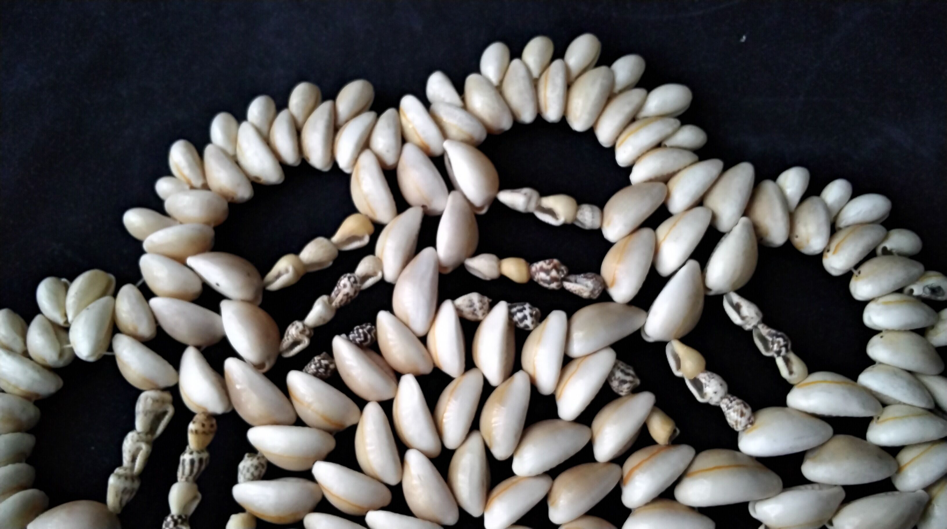 Vintage seashell triflies