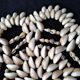 Dessous de plat en coquillages vintage