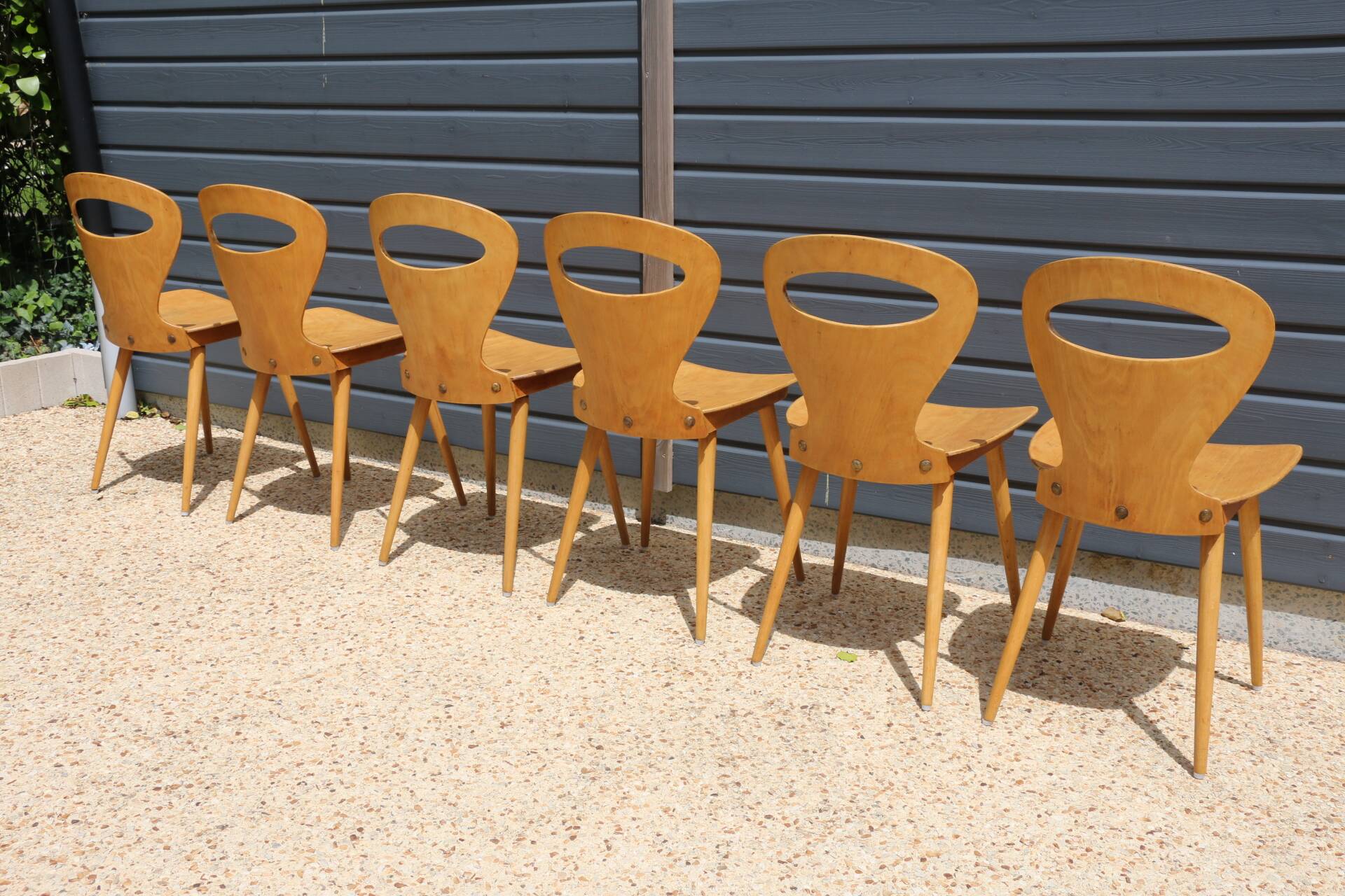 6 BAUMANN V2 chairs in light beech