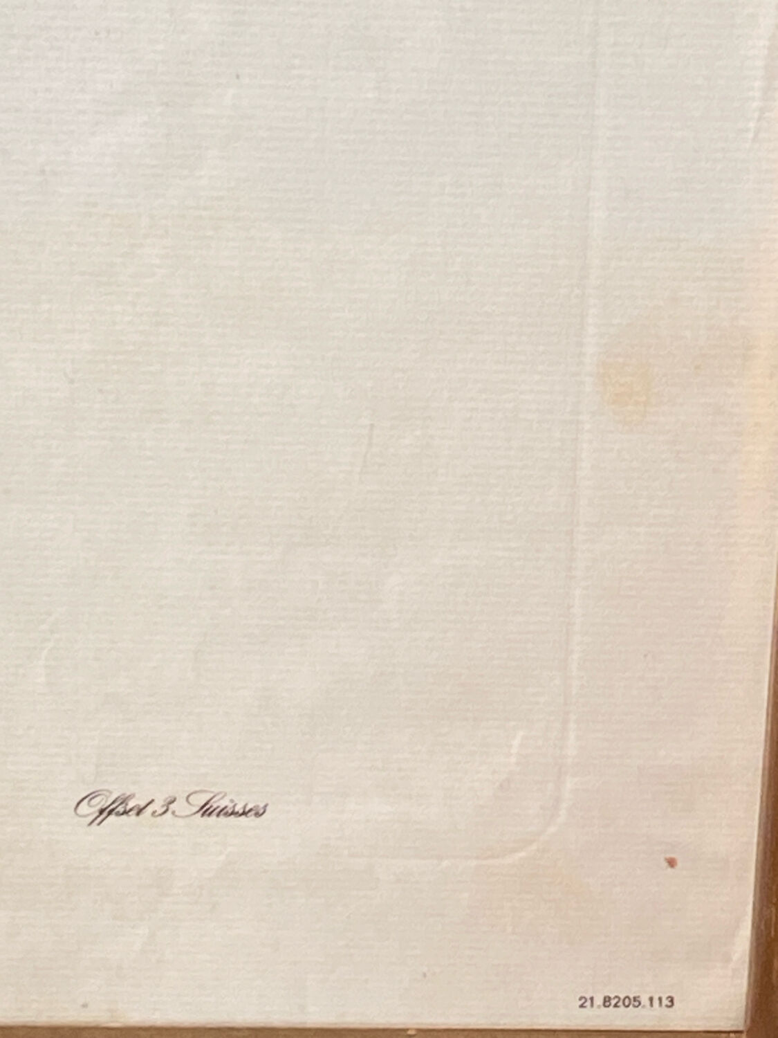 Poster, botanical plate Brachycome iberidifolia