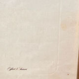 Poster, botanical plate Brachycome iberidifolia