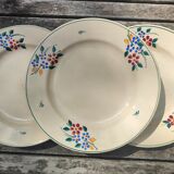 Plates Saint Amandinoise Saint Amand
