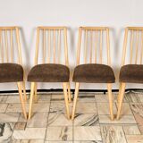 1960s Antonin Suman Dining Chairs , Set of 4