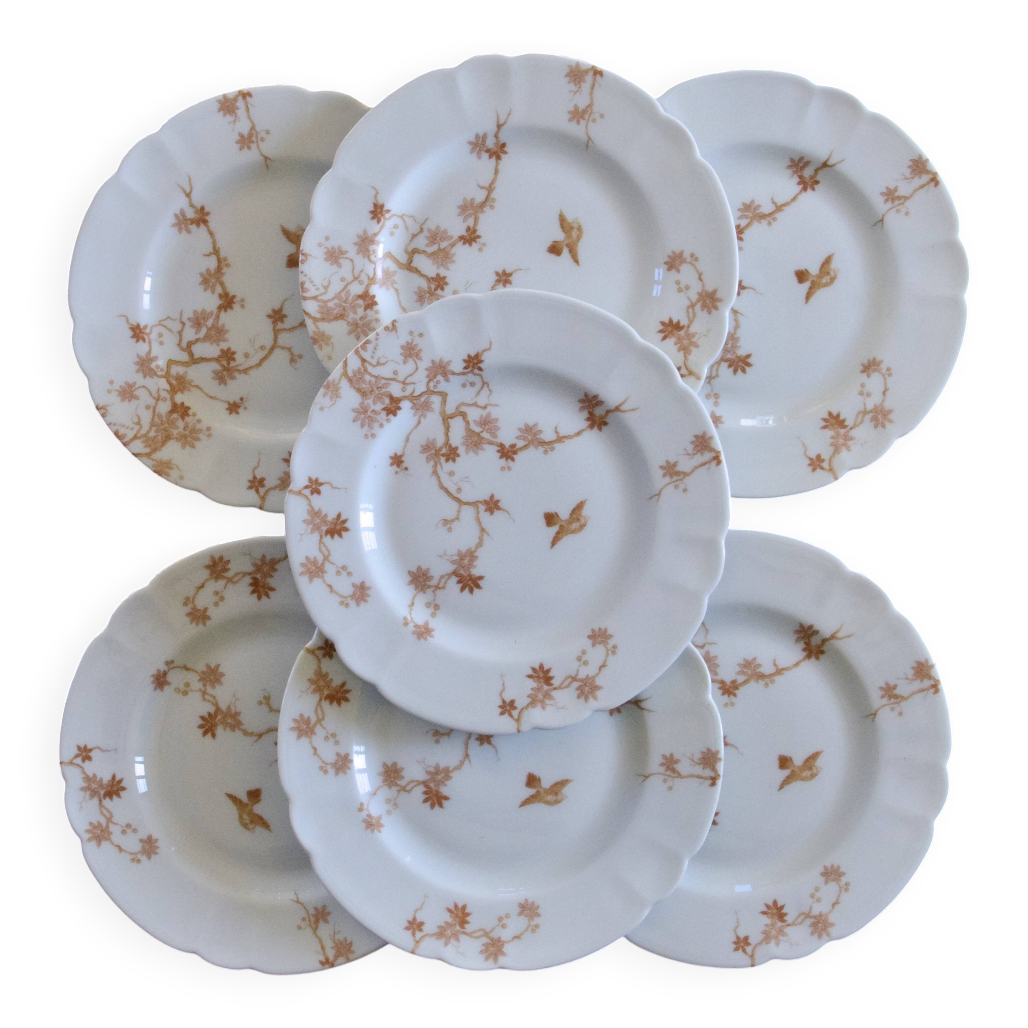 Antique Limoges Haviland porcelain dessert plates, birds