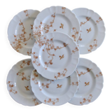 Antique Limoges Haviland porcelain dessert plates, birds