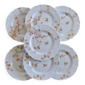 Antique Limoges Haviland porcelain dessert plates, birds