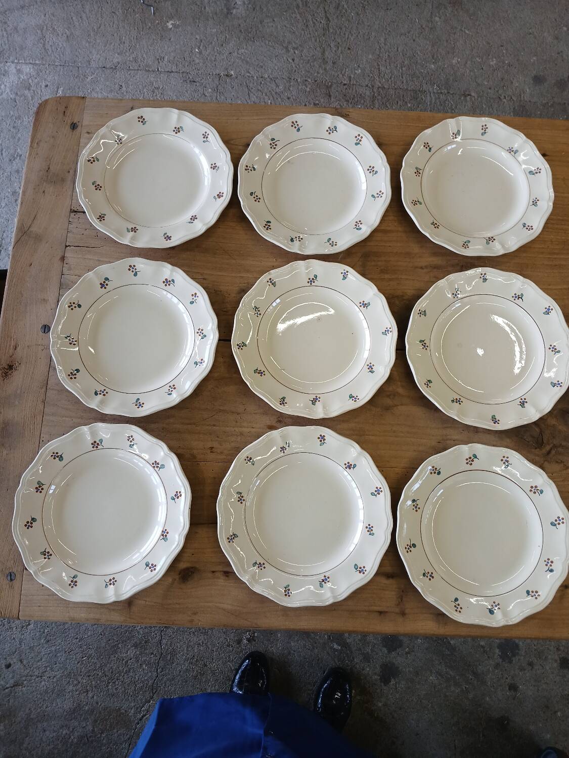 9 old flat plates Digoin Sarreguemines
