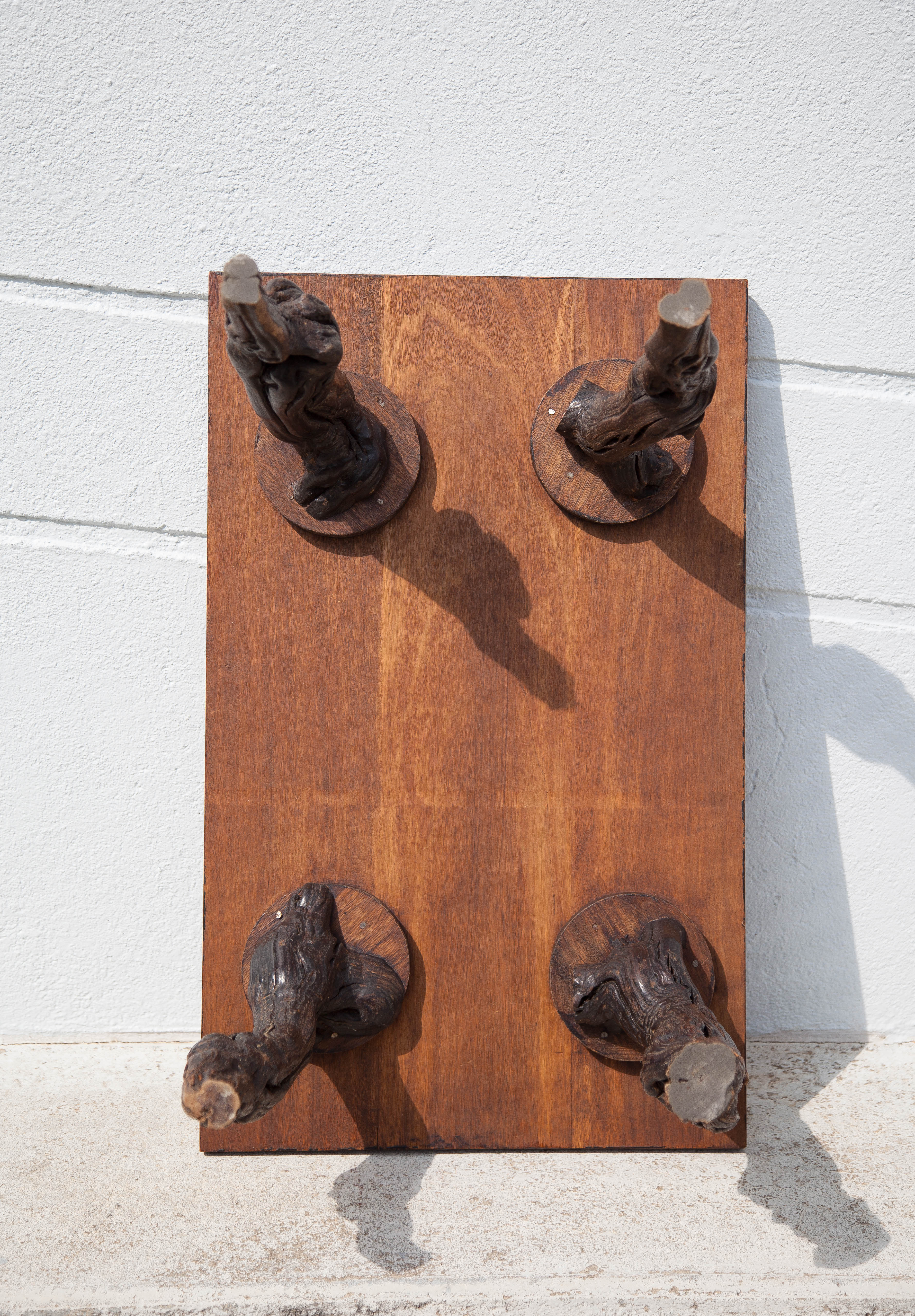 Coffee table vines and vintage wood