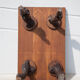 Table basse ceps de vigne et bois vintage