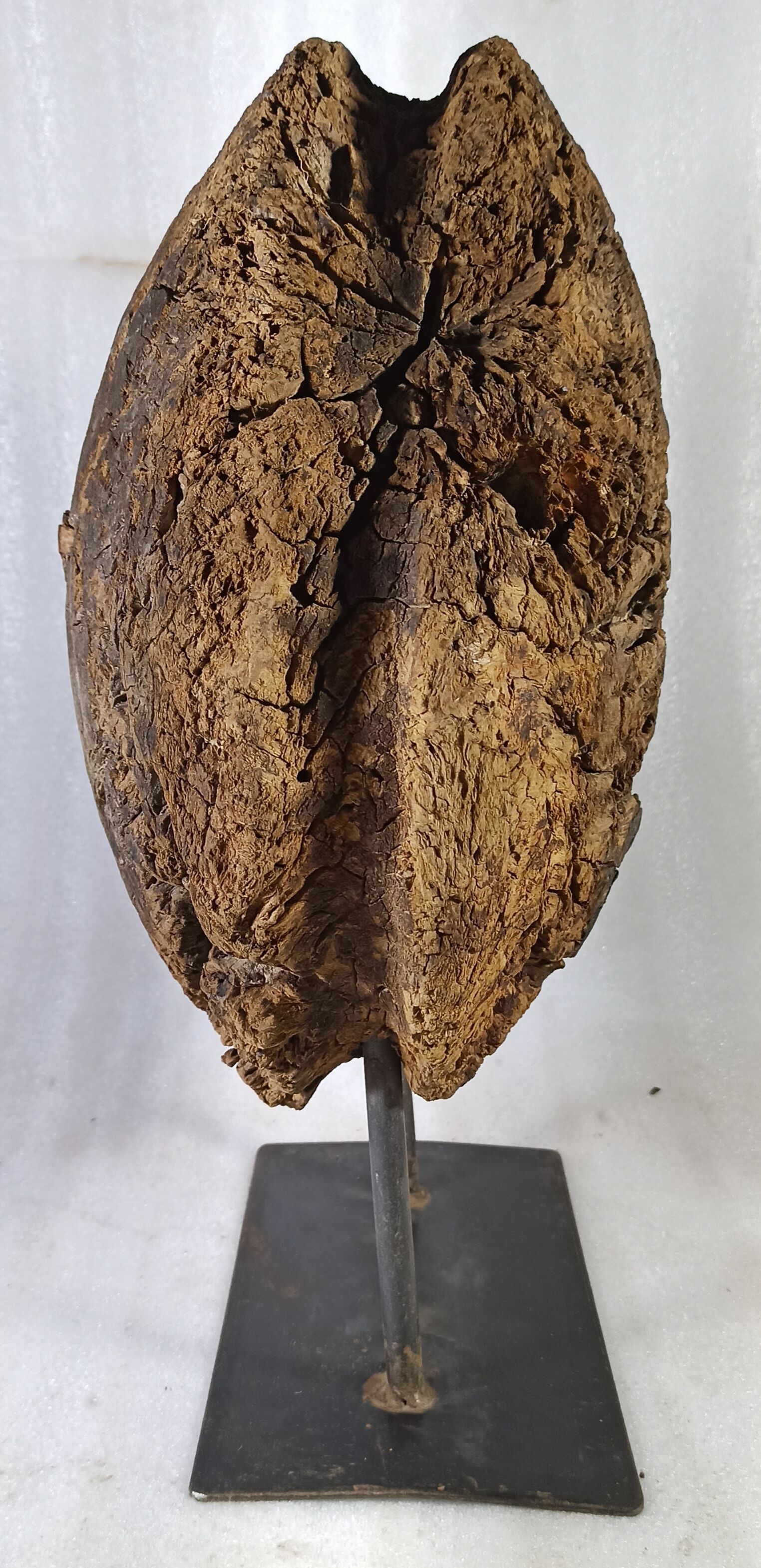 Old wooden pulley wheel on foot