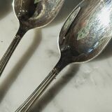 11 Reneka teaspoons