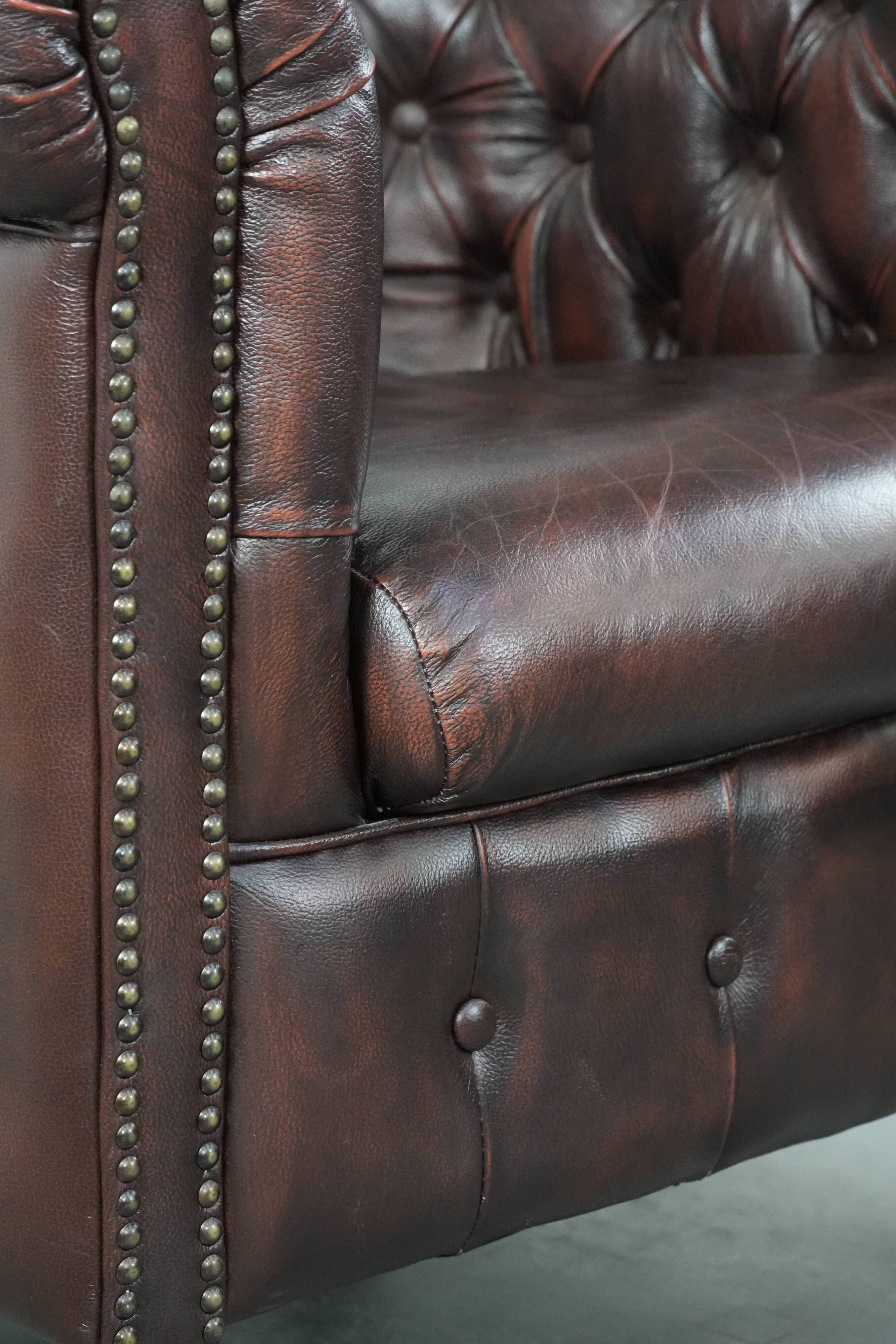 Classic English-style Chesterfield club armchair in cowhide leather