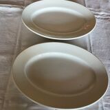 Earthenware dishes