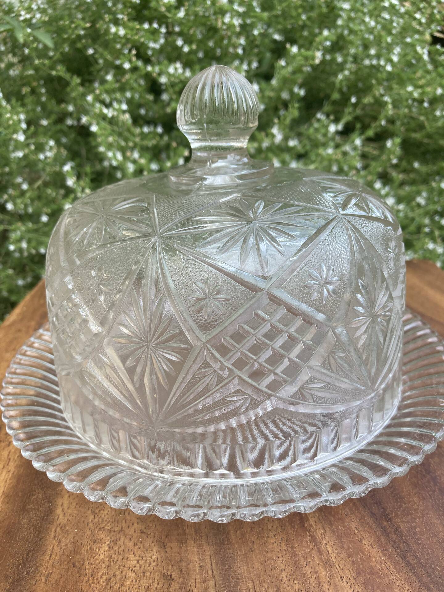 Pressed and moulded glass cheese dome