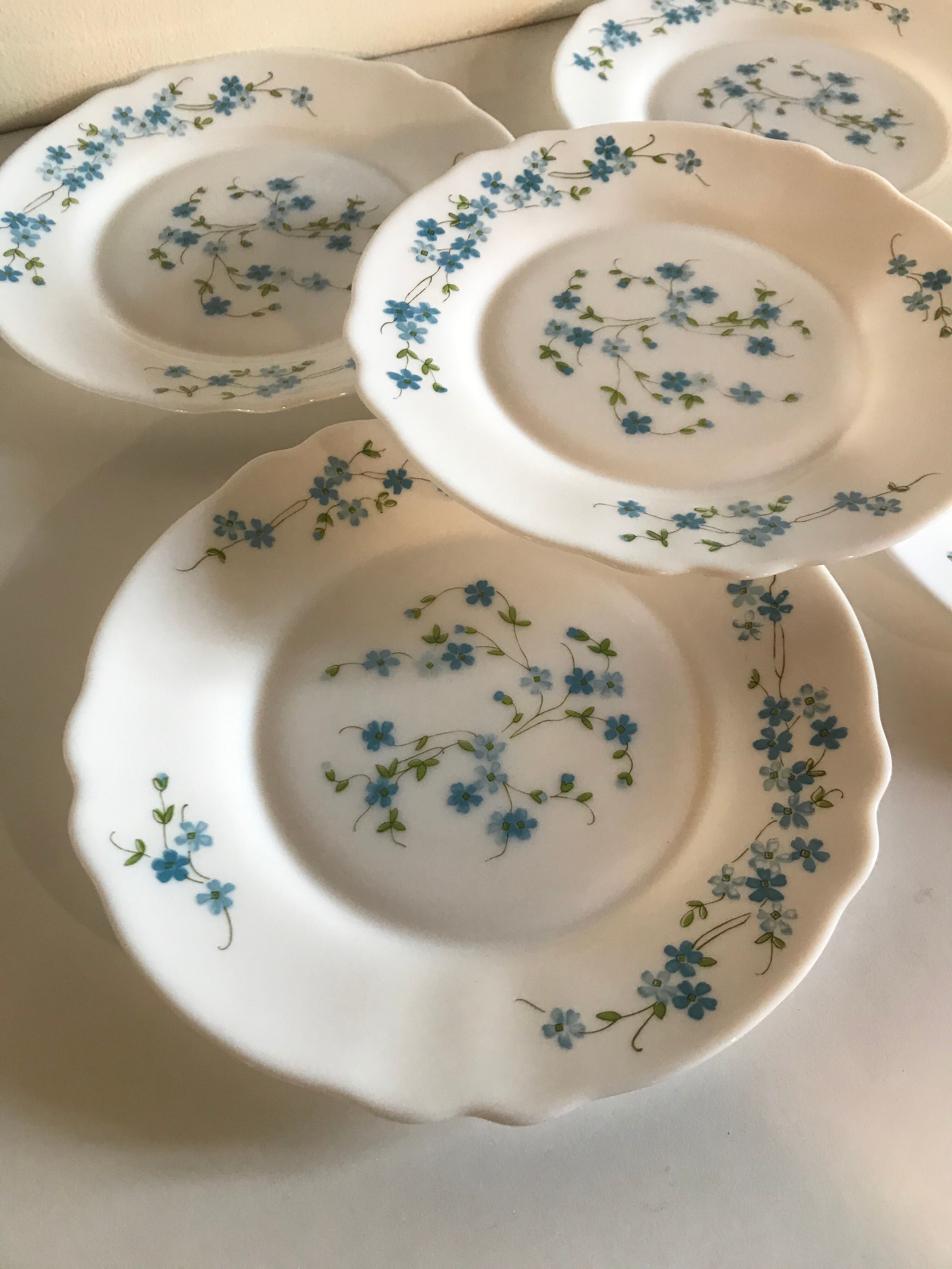 Lot de 12 assiettes à dessert - Arcopal - Arts de la table
