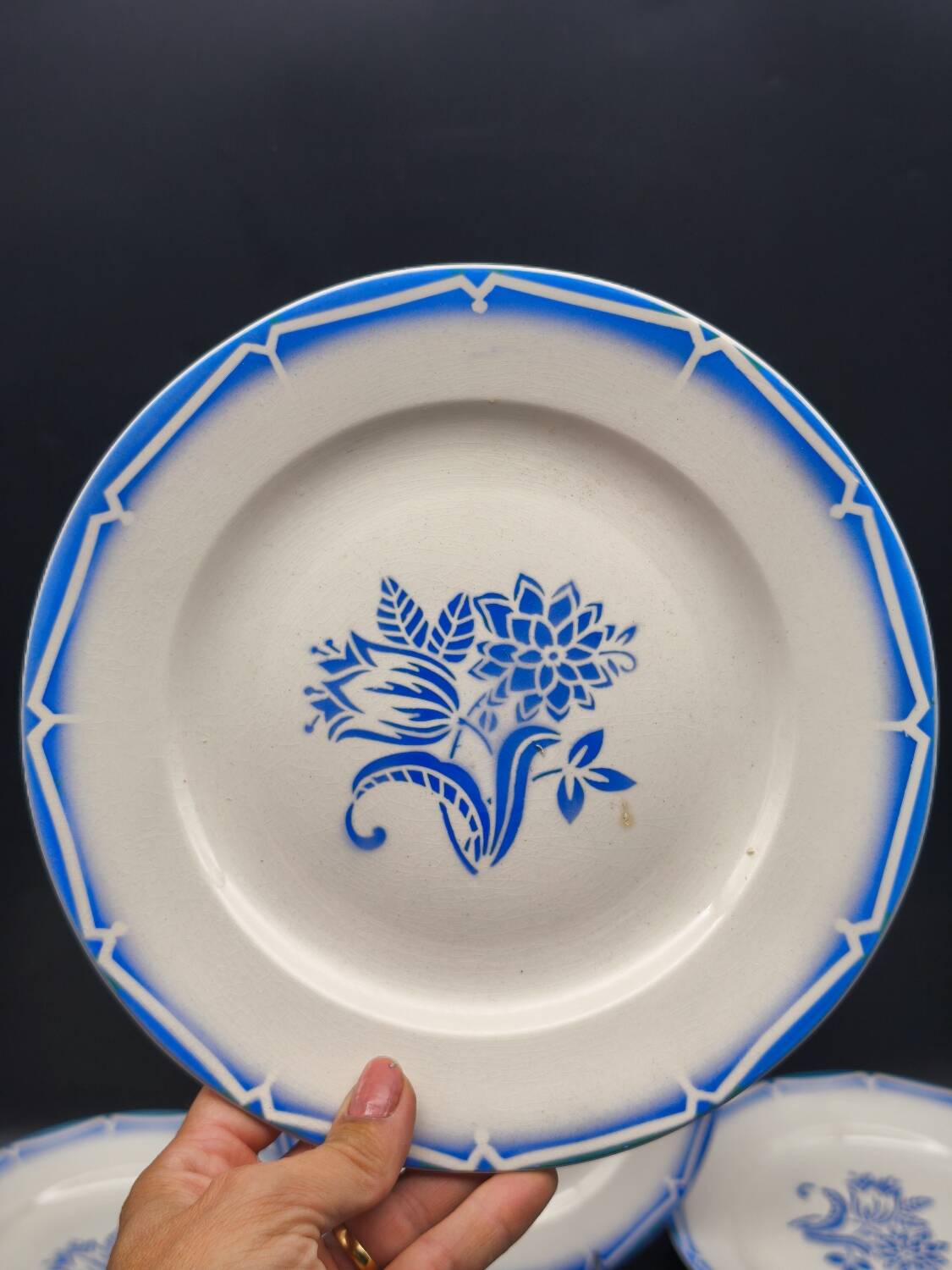 12 Canebière dinner plates