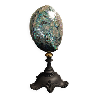 Coquillage haliotis iris sur socle