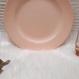 Set 6 hollow plates powder pink