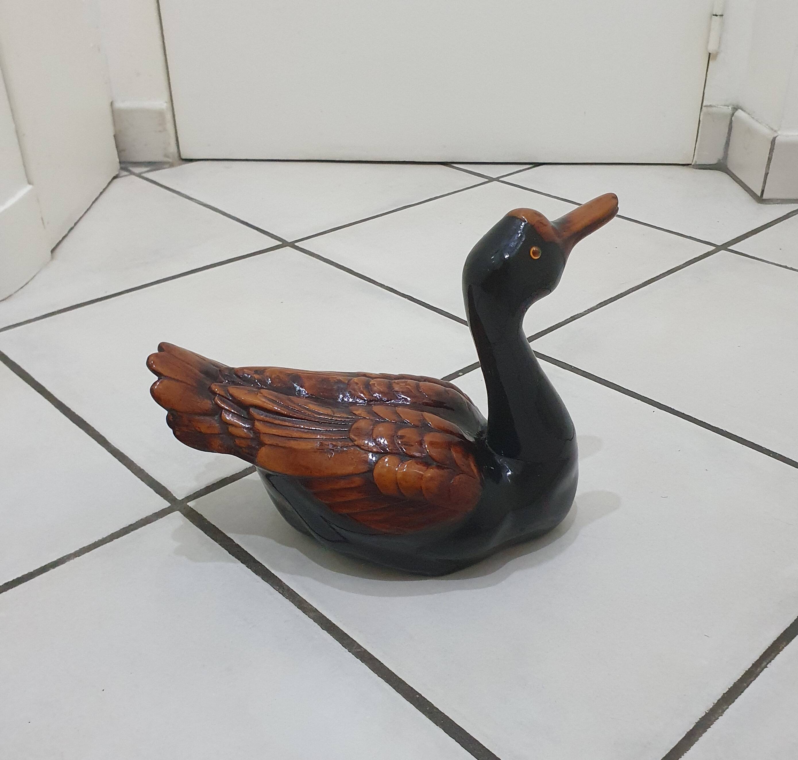 Large brown and black duck