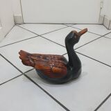 Large brown and black duck