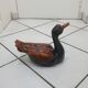 Large brown and black duck