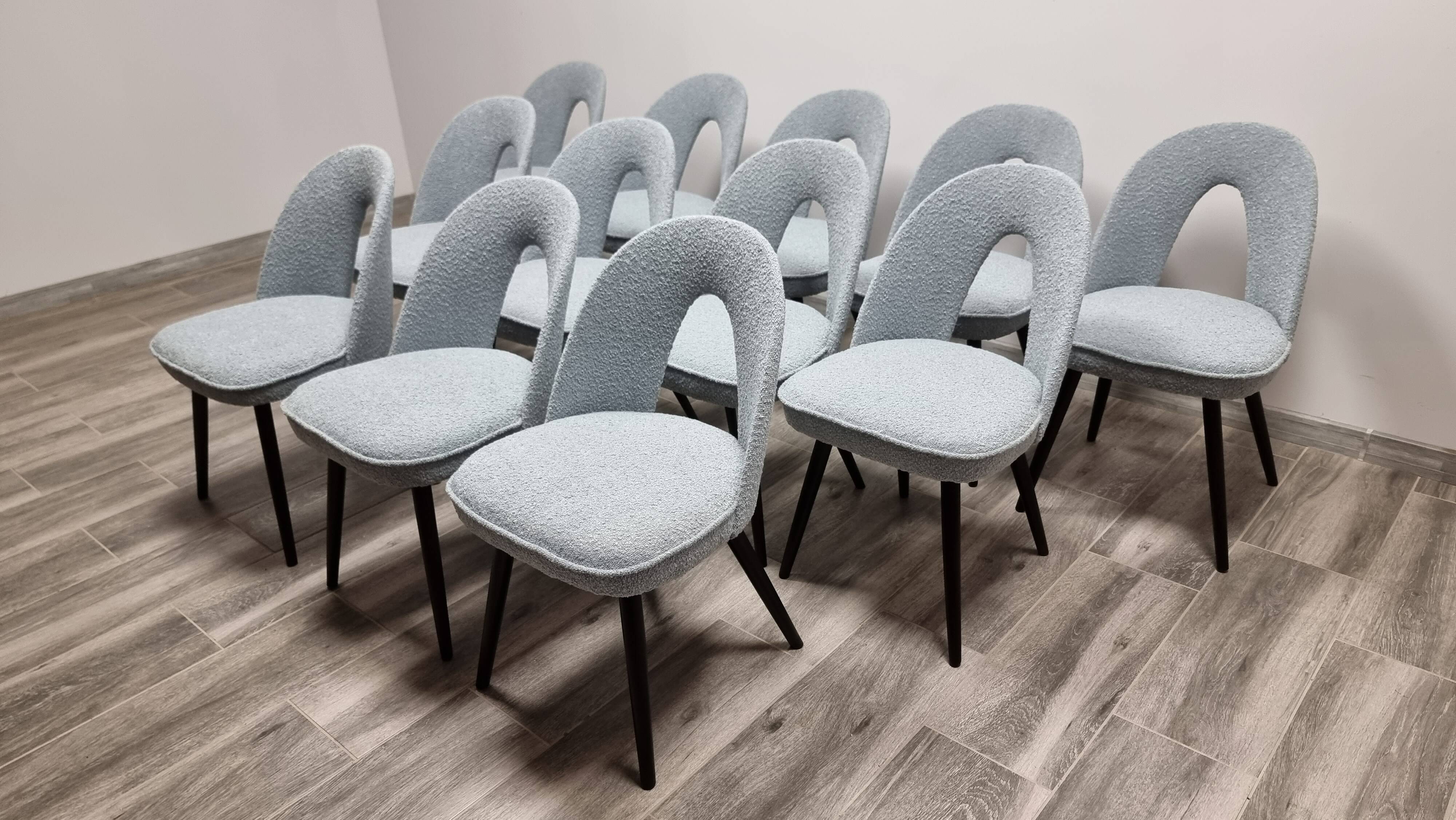 Chaises de Salle à Manger par Antonin Suman, 1960s, Set de 12