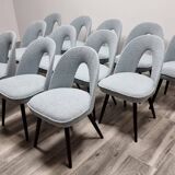 Chaises de Salle à Manger par Antonin Suman, 1960s, Set de 12