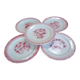 Lot of 5 antique opaque porcelain plates.
