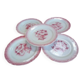 Lot of 5 antique opaque porcelain plates.