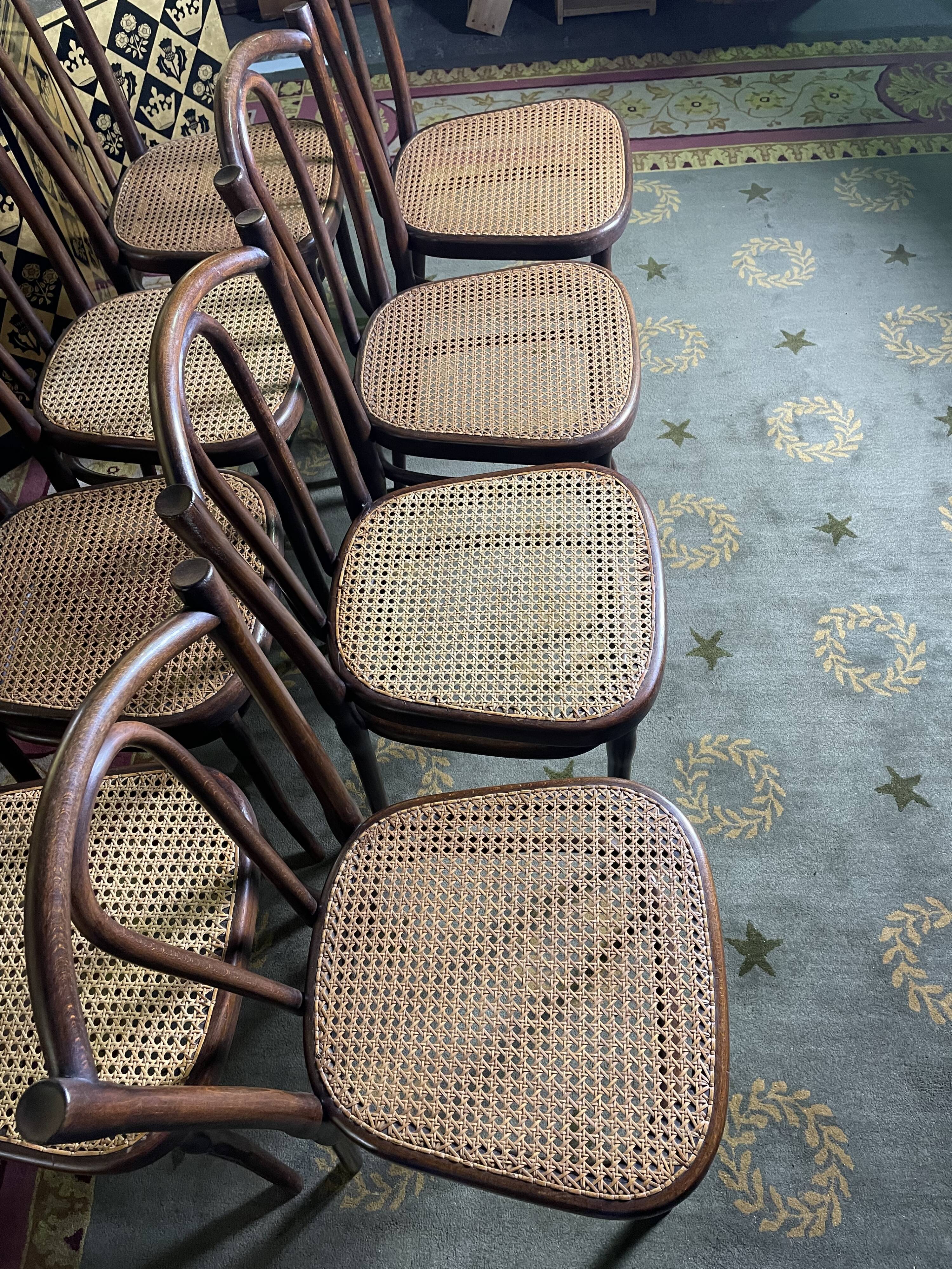 Suite of 8 chairs bistro Thonet number 56