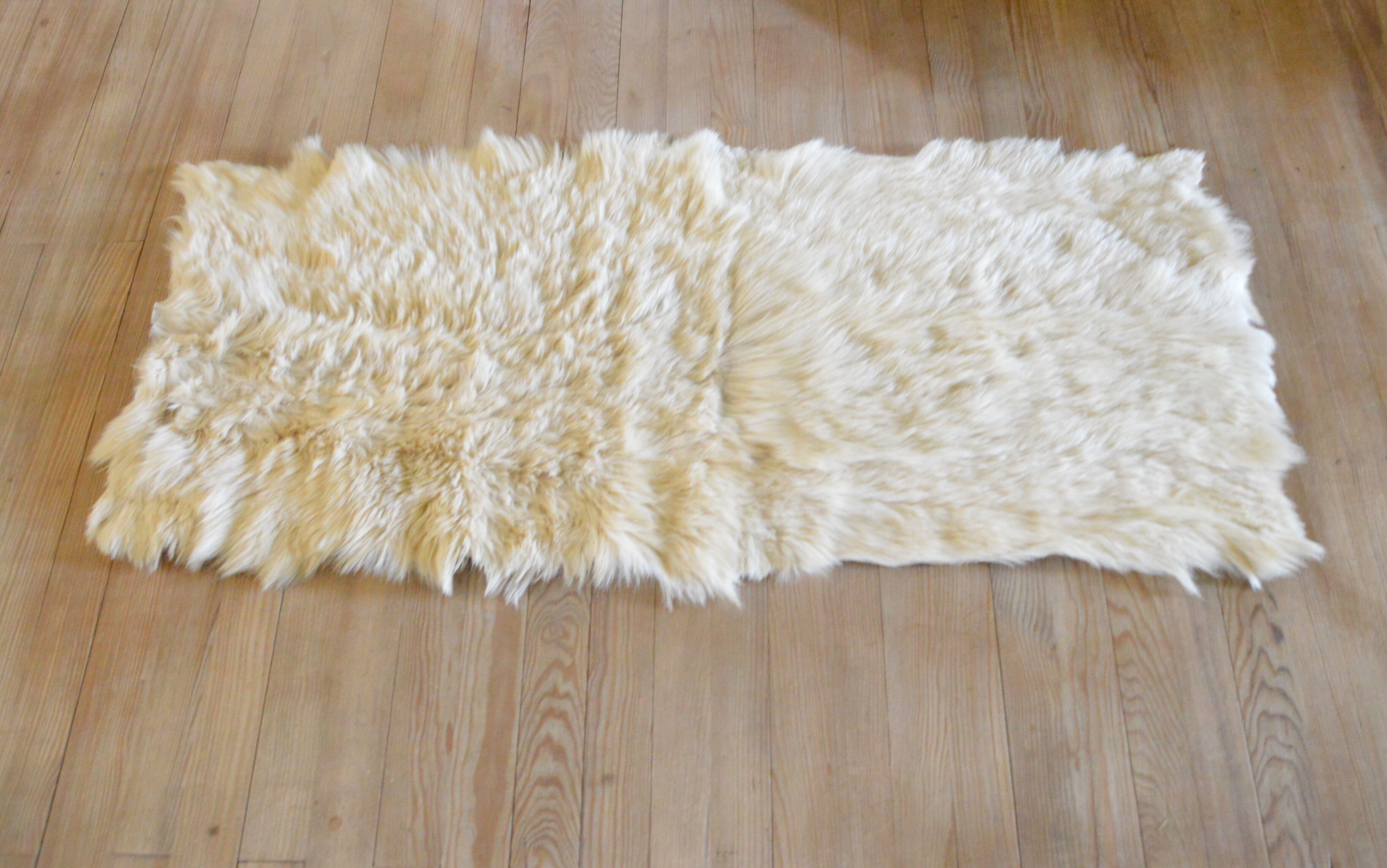 Chevre 160x70cm