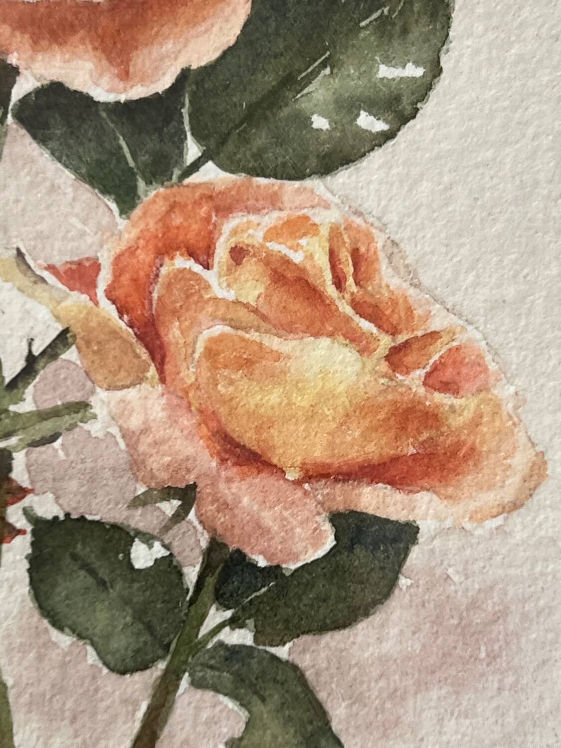 Rose painting