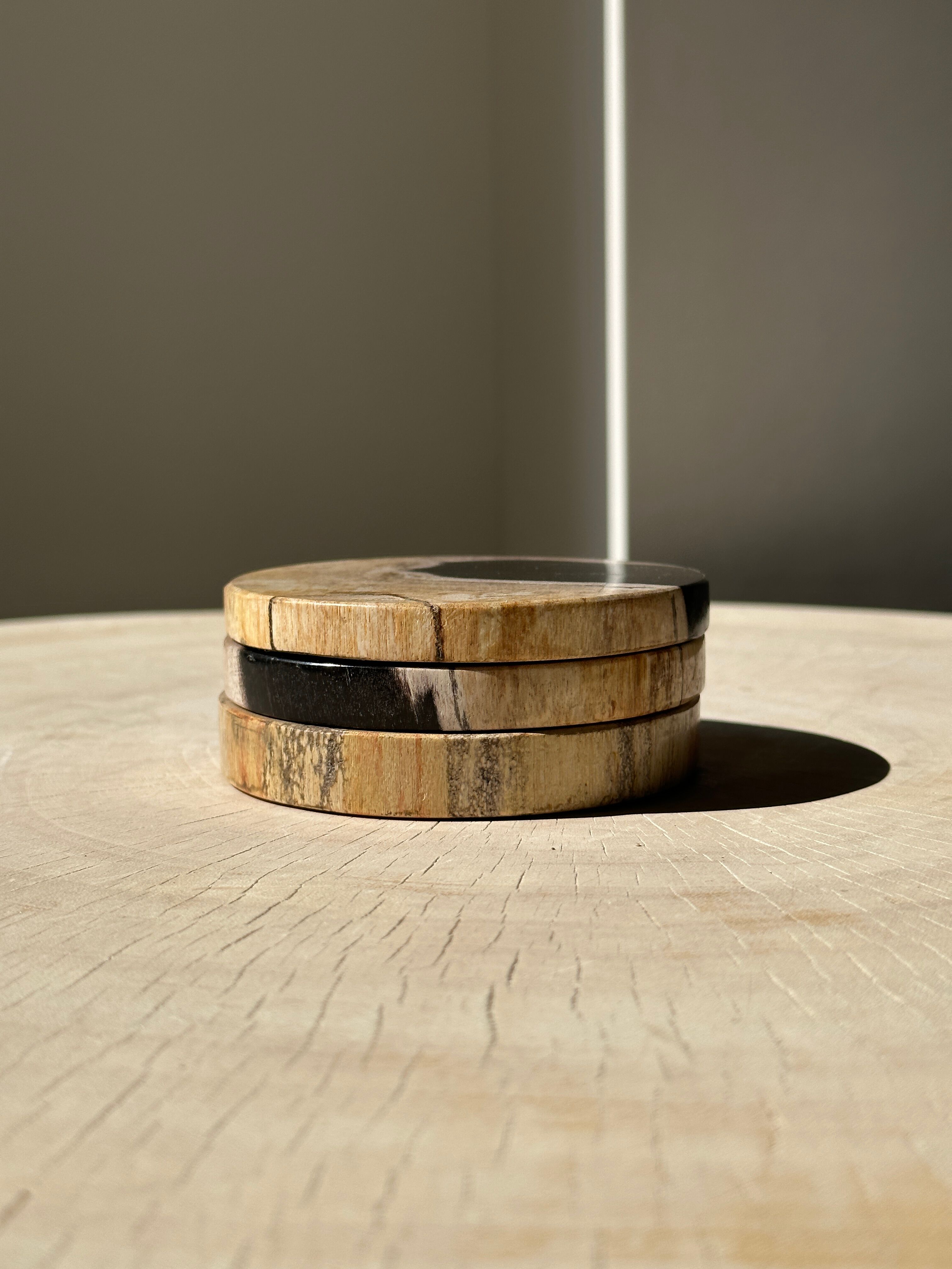 Set of 3 fossilized wooden coasters (clear)