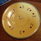 Small Sicard plate