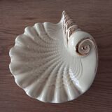 Shell tidy