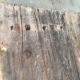Old larch door