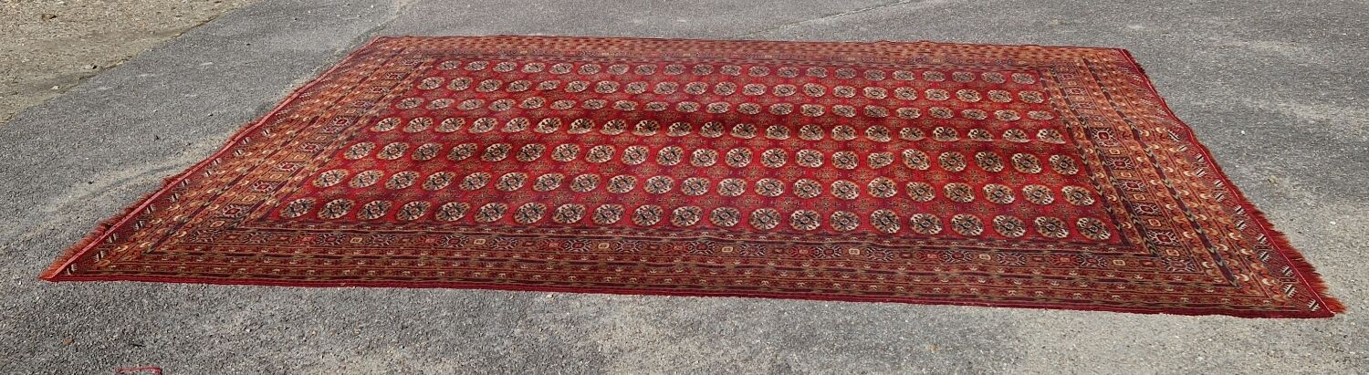 Bukhara carpet 344x246 cm