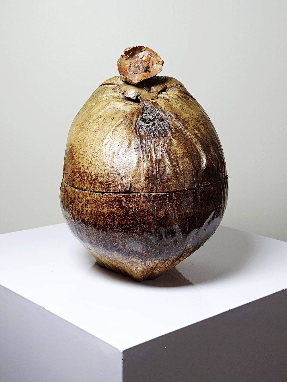 Large box/ice bucket curiosity Naturalised African Coconut vintage