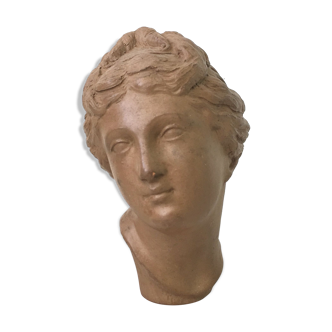 Bust of a woman in terracotta
