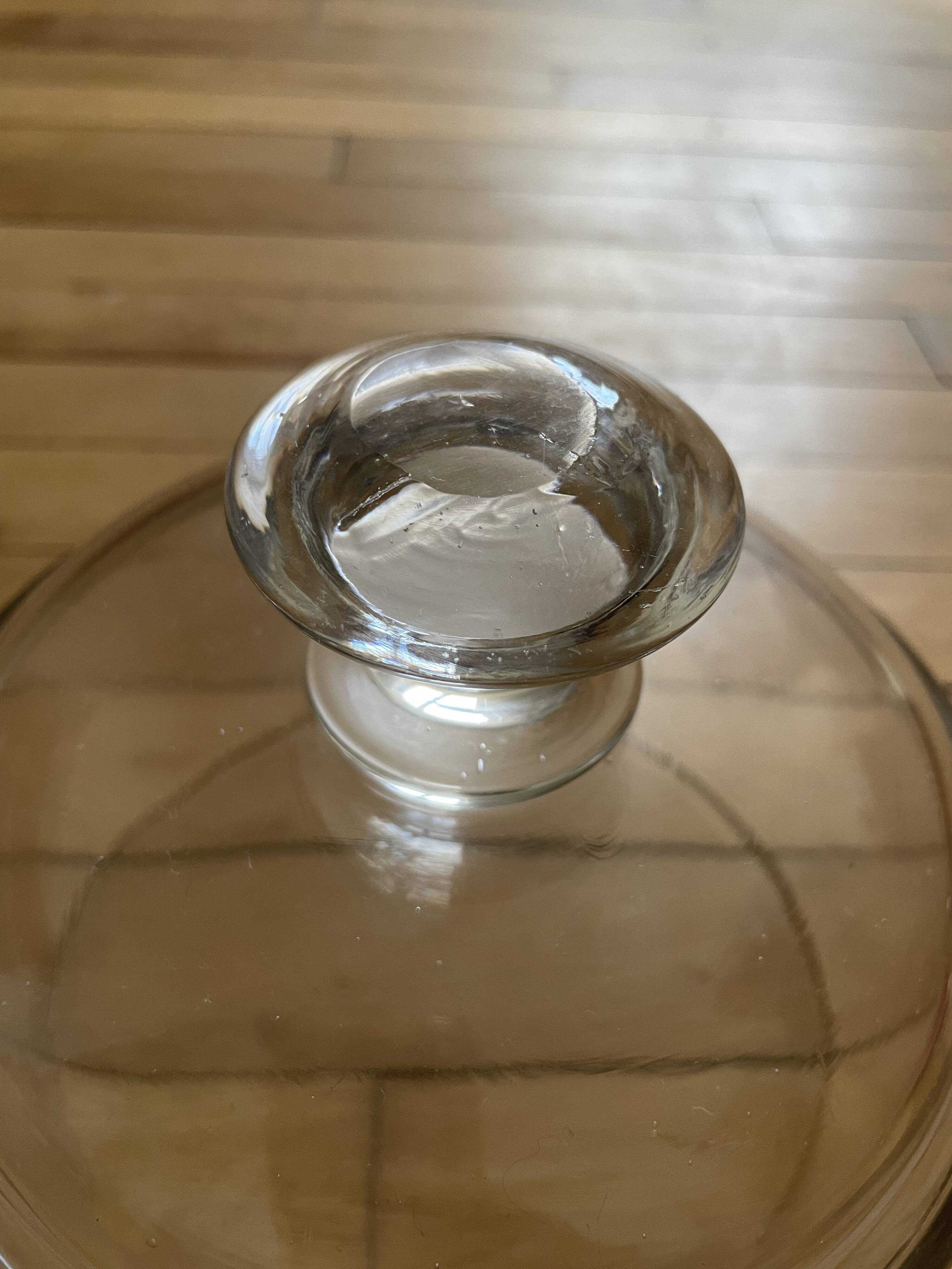 Glass cloche 251010